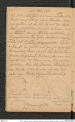 Seite 30, Tagebuch "Diluvium | Getzersdorf | Statzendorf | Willendorf | Mießling-Tal | Höhlen in Kremstal" (NHMW-PRAE-BBB-04)